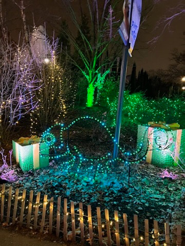 Wild Lights at the St. Louis Zoo, Missouri, Christmas Lights, Chameleon, Picture
