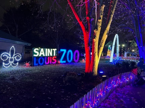 Wild Lights at the St. Louis Zoo, Arch in lights, fluer de lies in lightsPicture